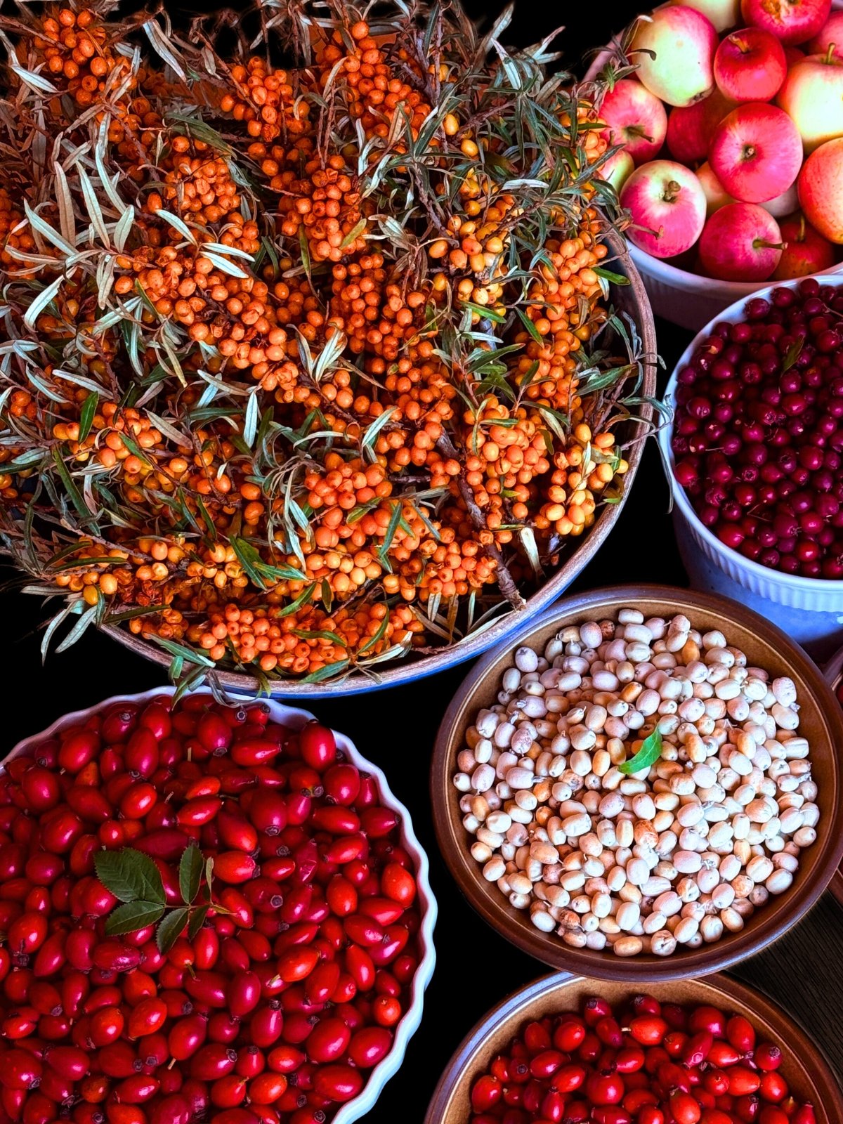berries (1920 x 2560 px)
